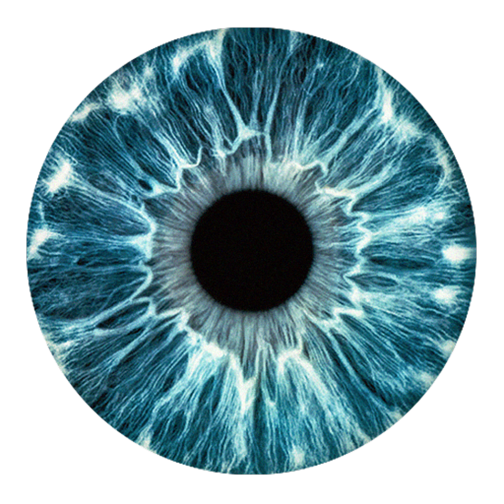 Smart Human Blue