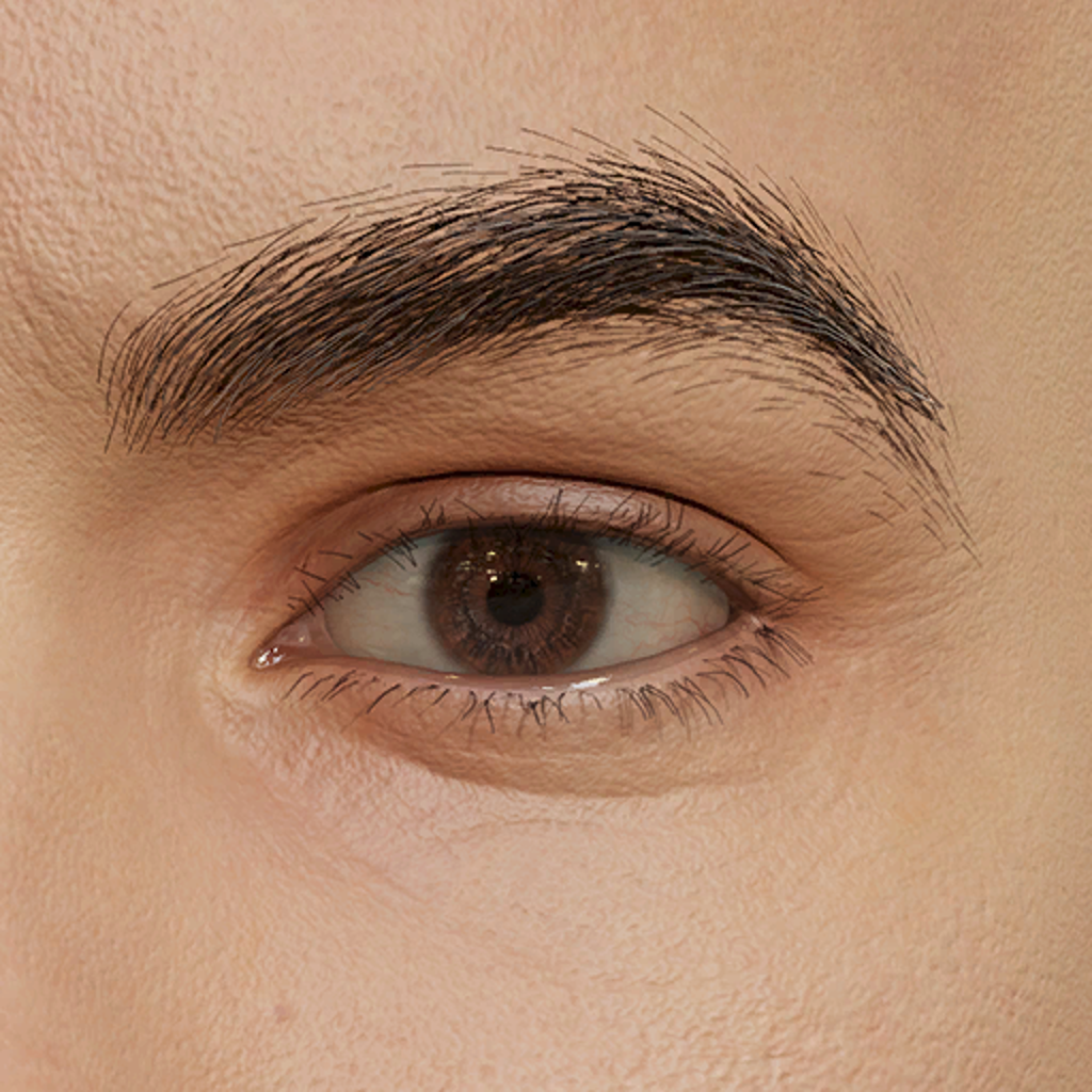 Soft Angled Eyebrows