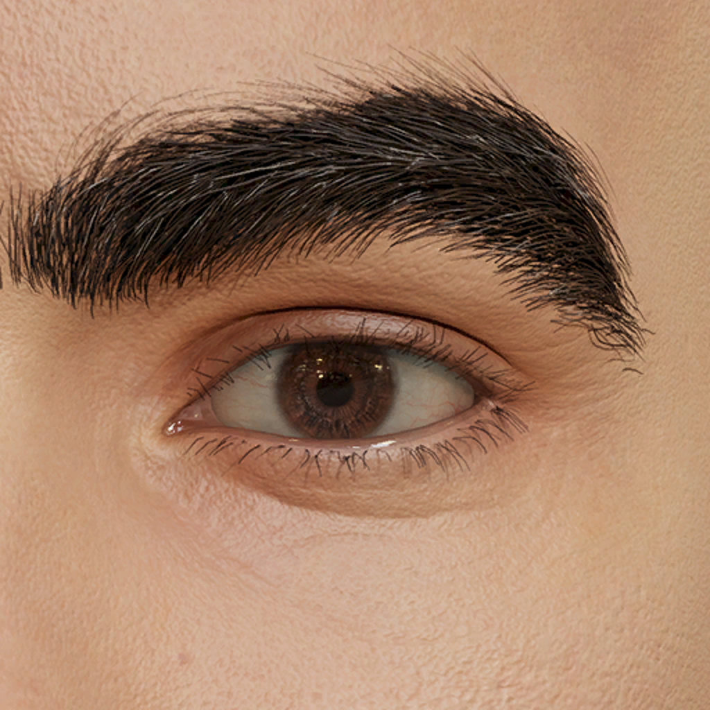 Thick Rounded Eyebrows
