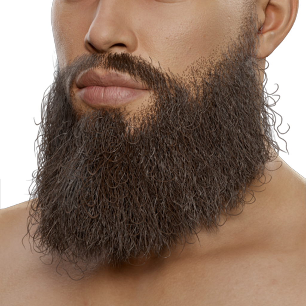 Garibaldi Beard - Brown