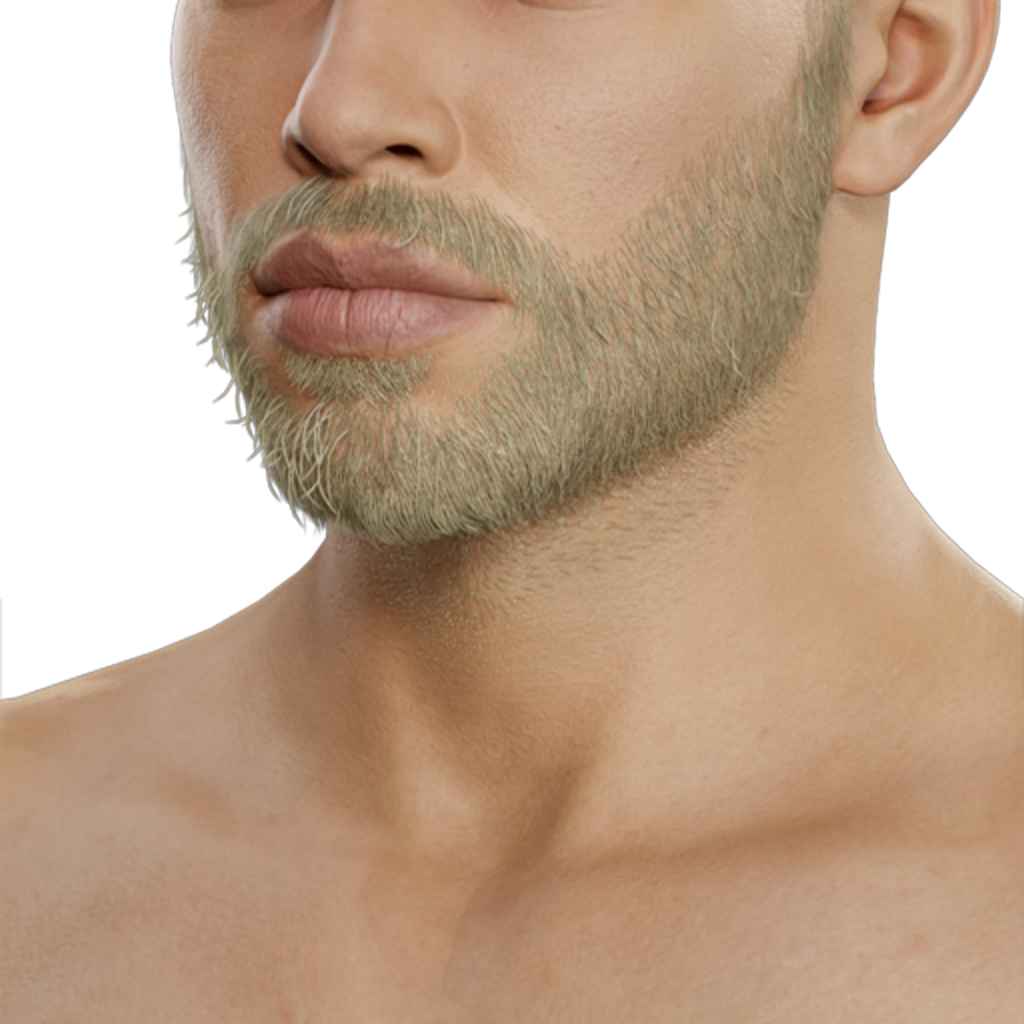Dad Beard - Blond