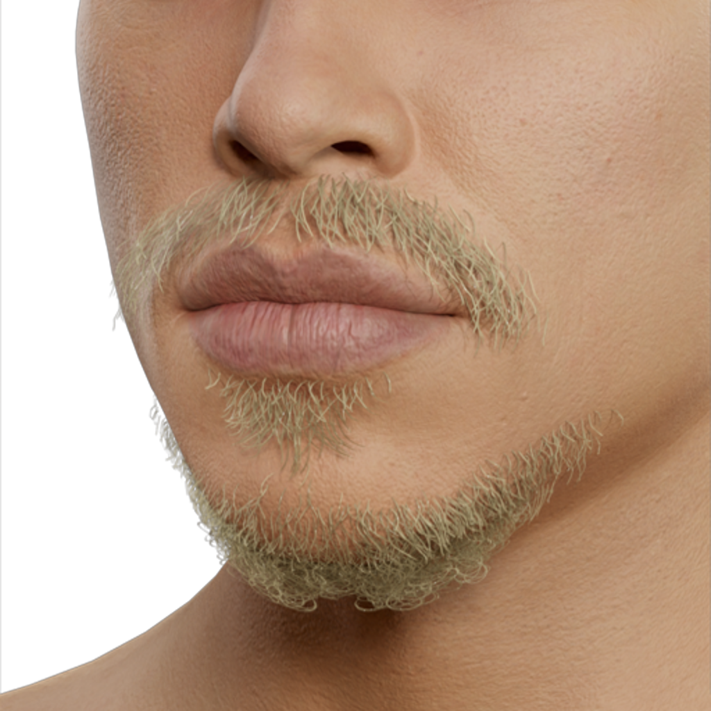 Goatee Beard - Blond