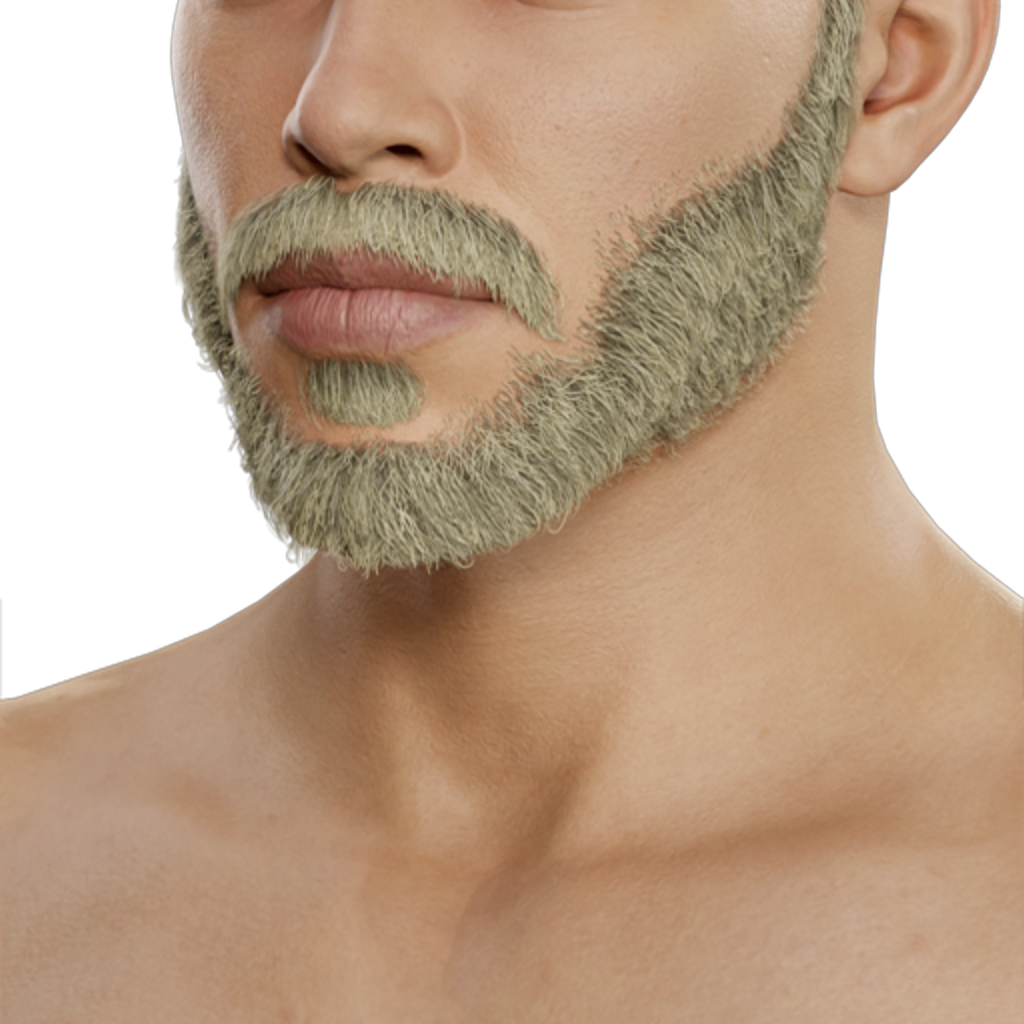 Corporate Beard - Blond