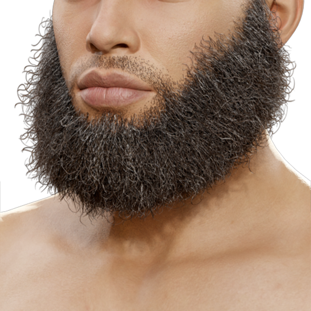 Dutch Beard - Brown