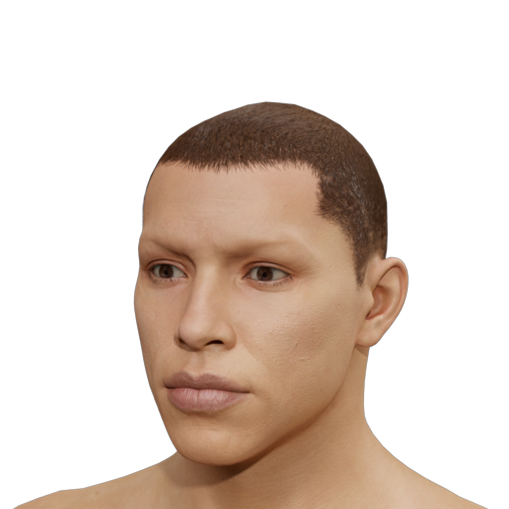 Buzz Cut - Brown
