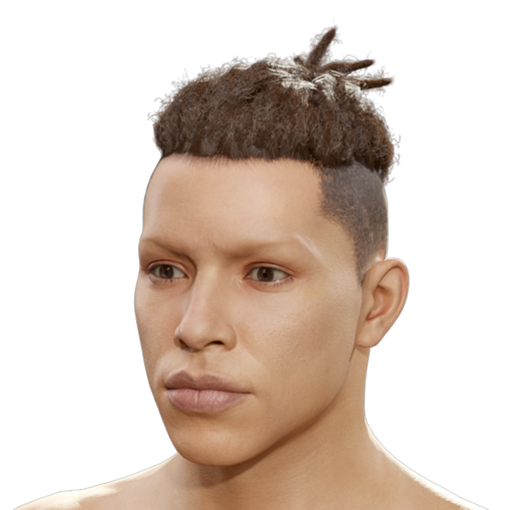 Pulled-Back Dreadlock Knot - Brown