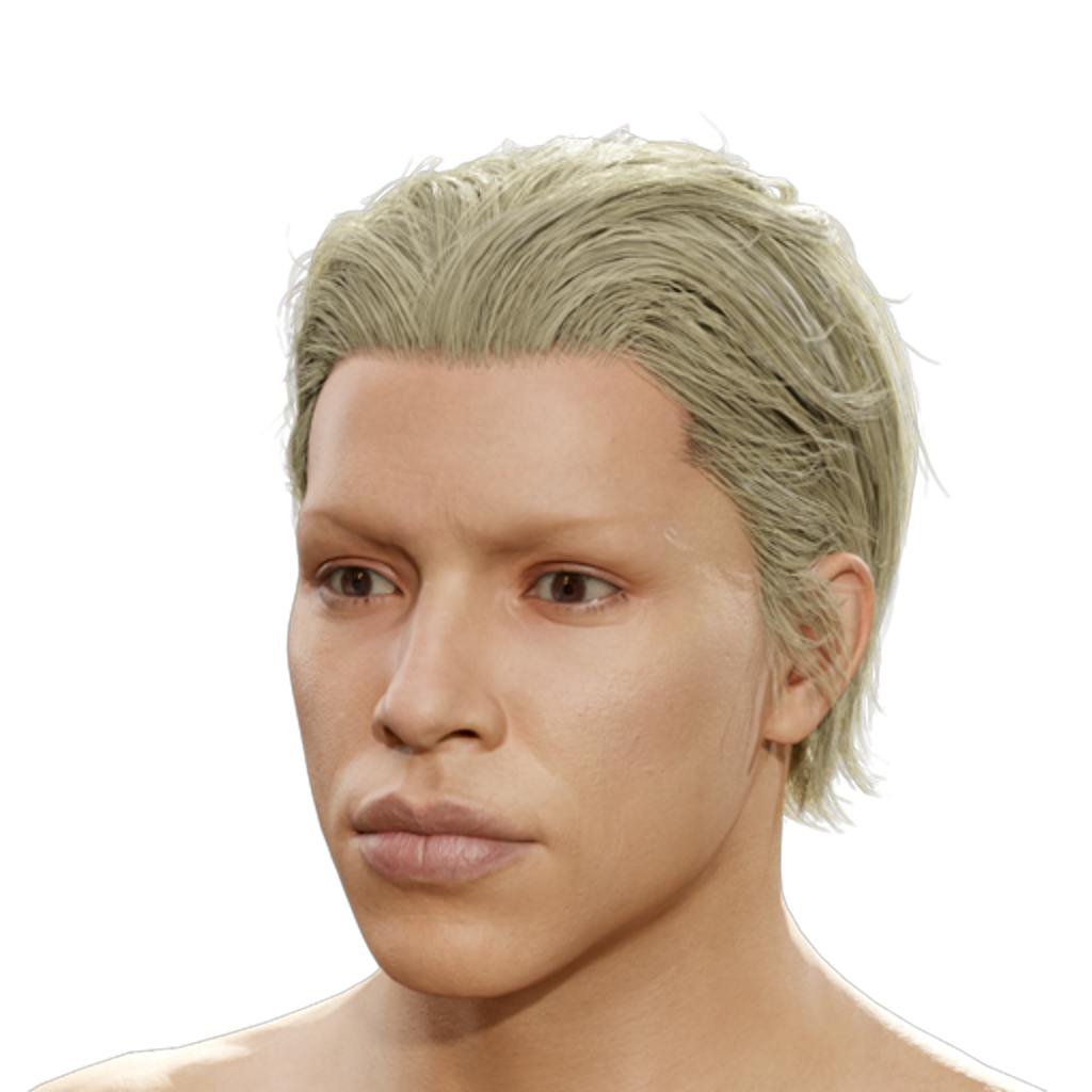 Pushed Back Hair - Blond
