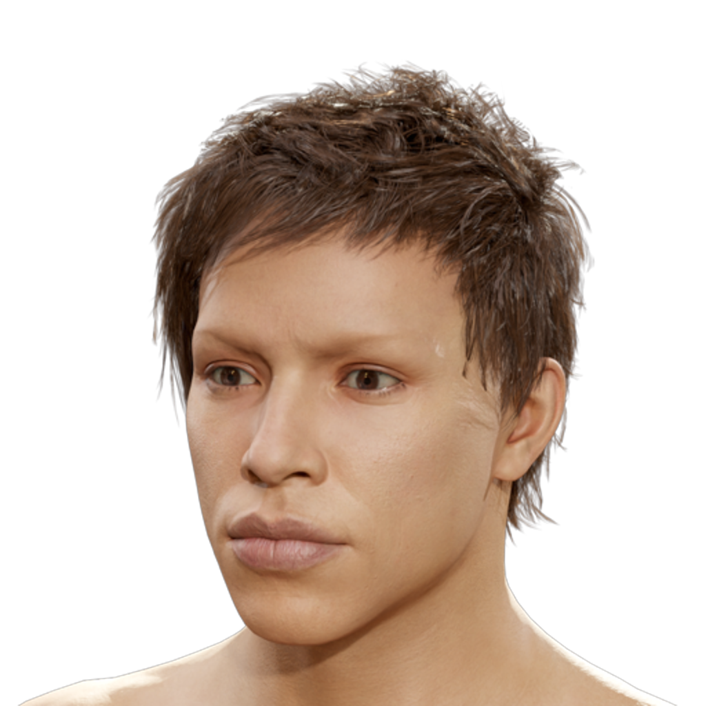 Teardrop Wolfcut - Brown