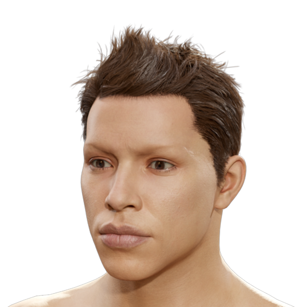Smartass Cut - Brown