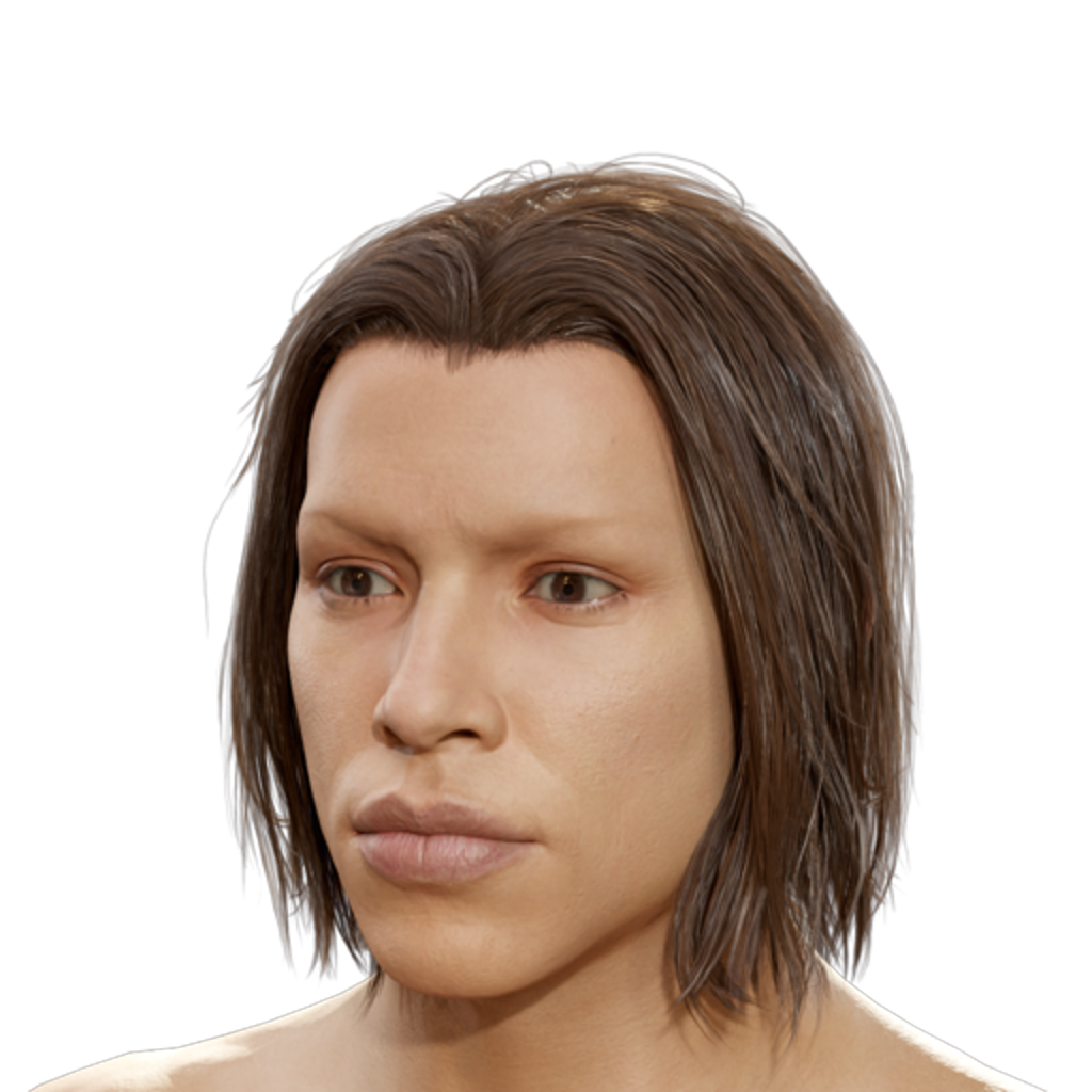 Man Bob Haircut - Brown