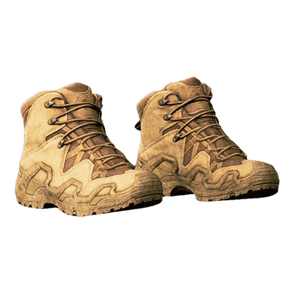 Hiking Boots